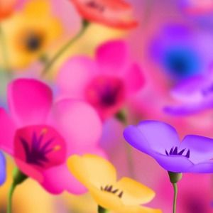 Meet your Posher, A.